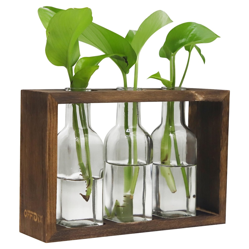 OFFIDIX Plant Propagation Stations, Desktop Glass Plant Terrarium with Wooden Stand Glass Pl
