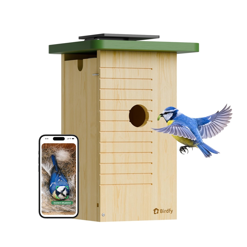 Birdfy Smart Bird House with Camera Solar Powered, 1080HD Live Video & Night Vision for 24/